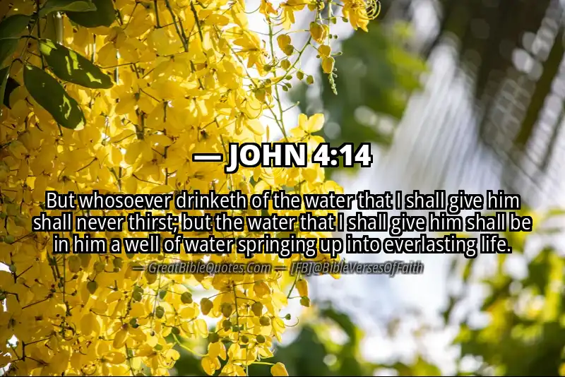 JOHN 4:14 Verse Image
