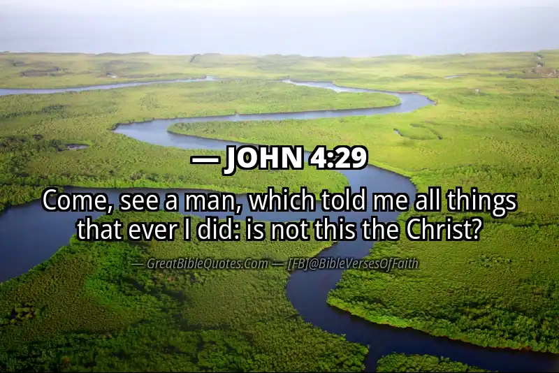 JOHN 4:29 Verse