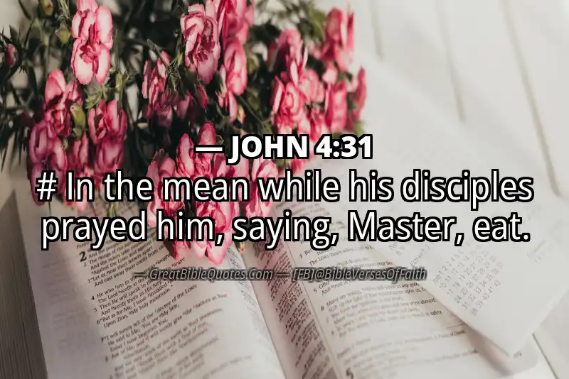JOHN 4:31 Verse