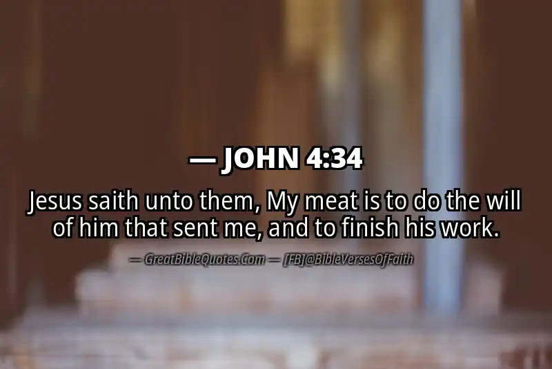 Image for JOHN 4:34 Bible verse