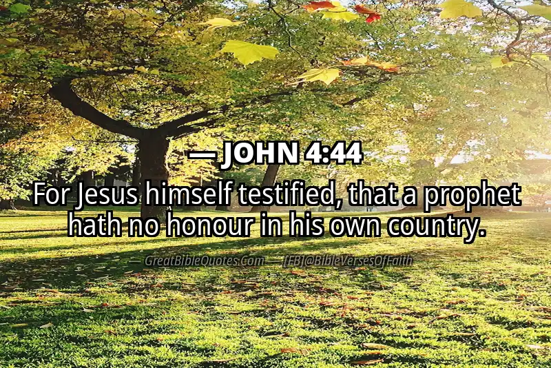 JOHN 4:44 Verse Image