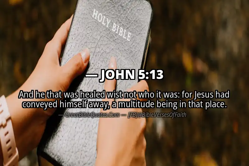 JOHN 5:13 Verse