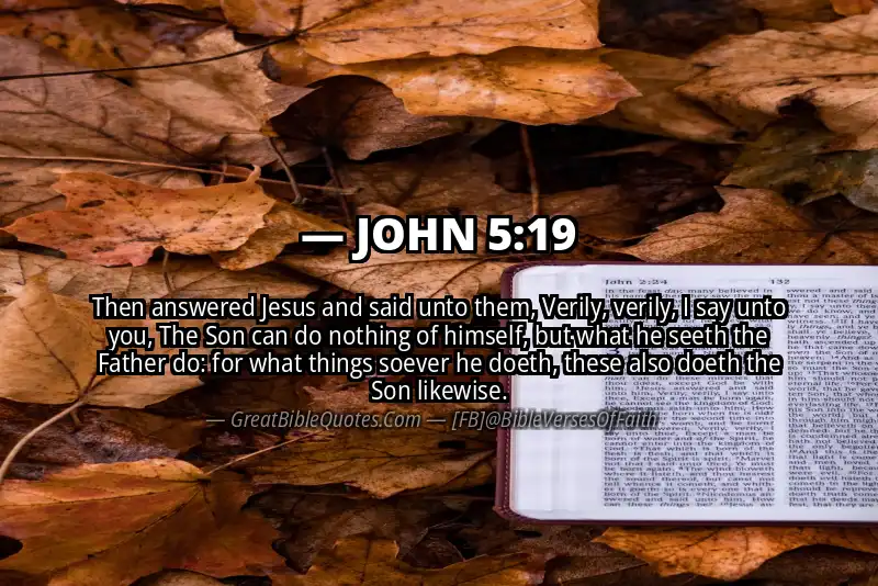 JOHN 5:19 Verse