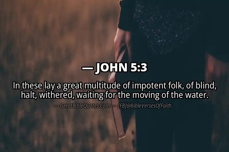 JOHN 5:3 Verse