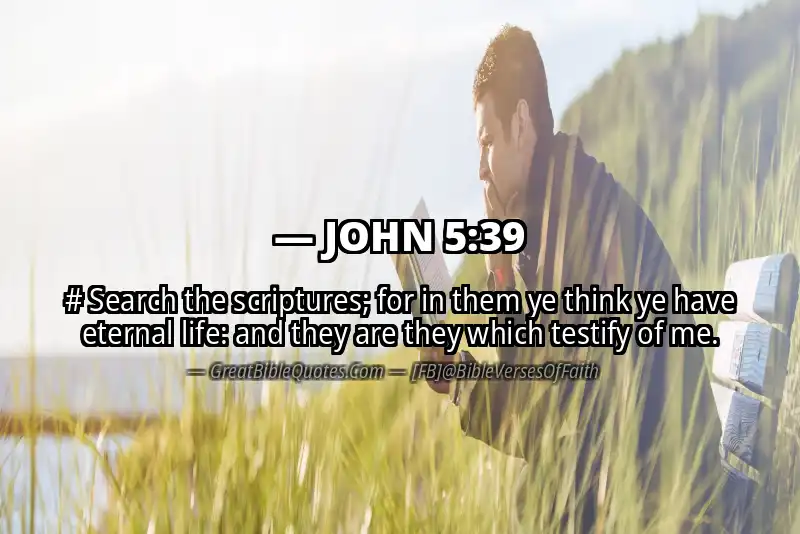 Image for JOHN 5:39 Bible verse