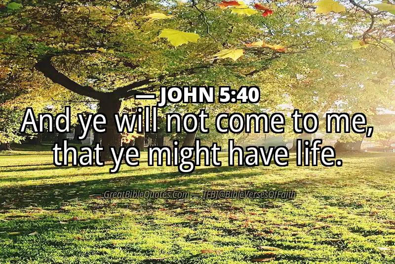 JOHN 5:40 Verse Image