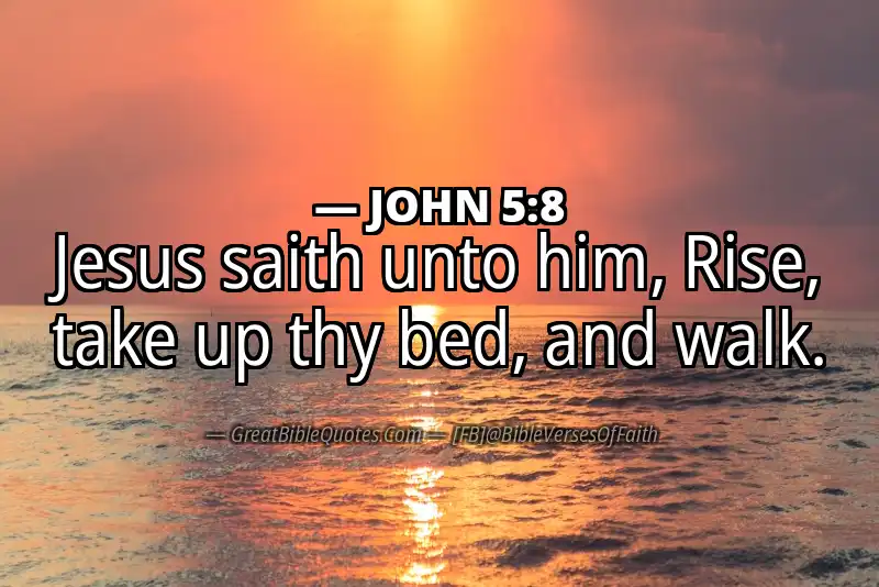 JOHN 5:8 Verse