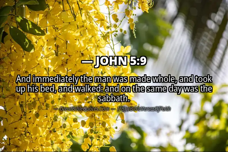 JOHN 5:9 Verse