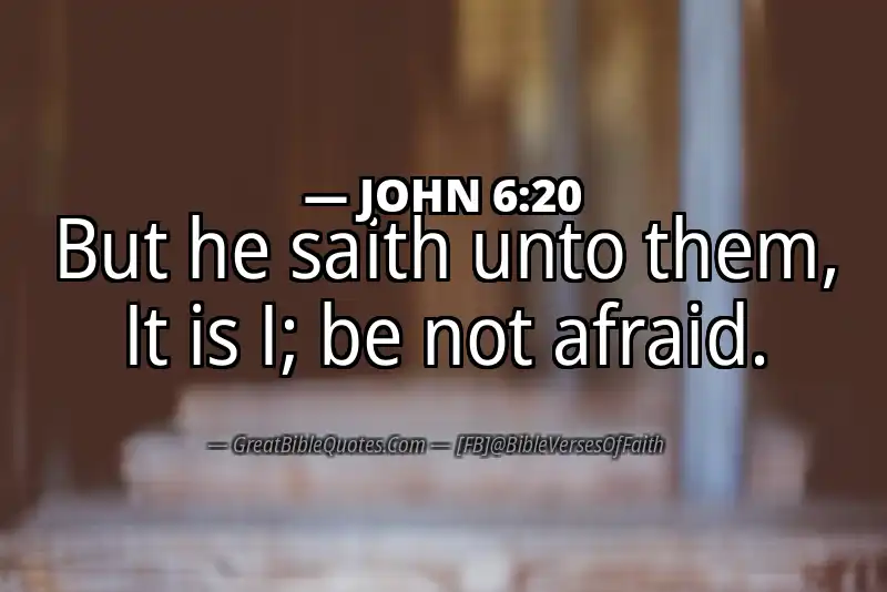 JOHN 6:20 Verse