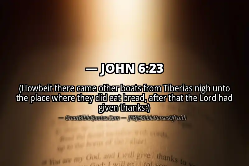 JOHN 6:23 Verse