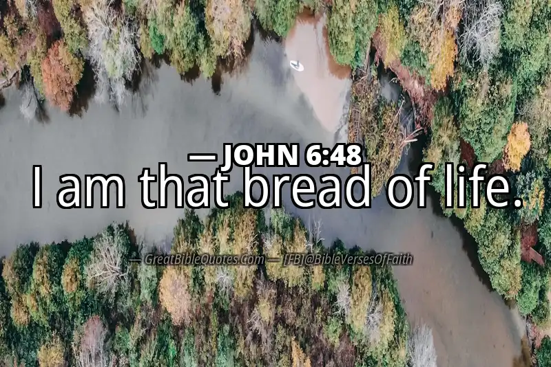 JOHN 6:48 Verse
