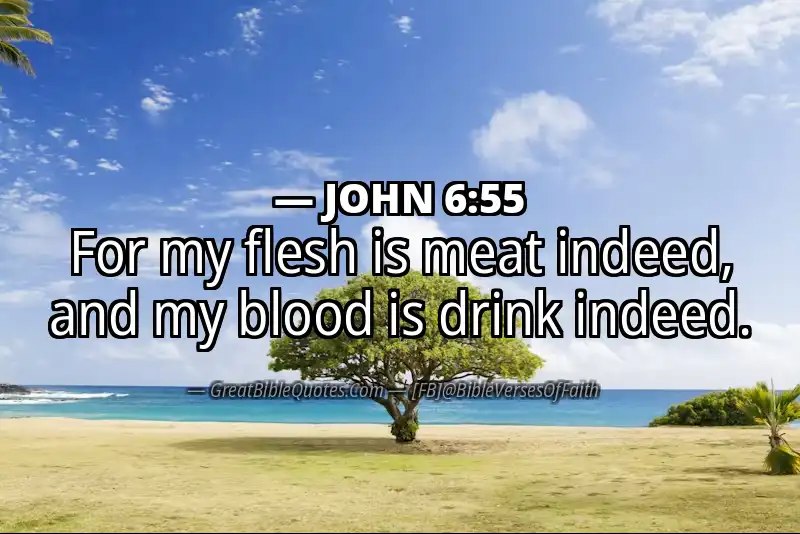 JOHN 6:55 Verse