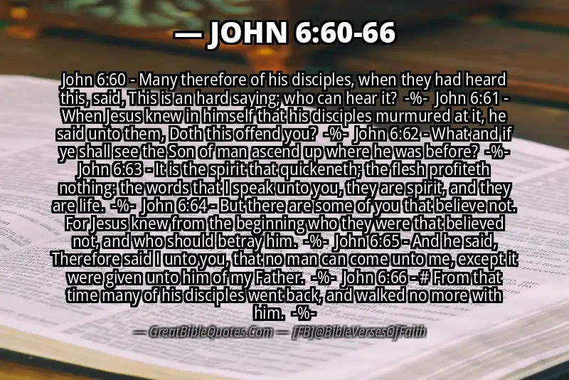 Image for JOHN 6:60-66 Bible verse