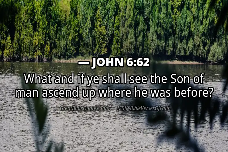 JOHN 6:62 Verse Image