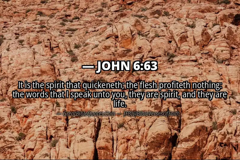 JOHN 6:63 Verse
