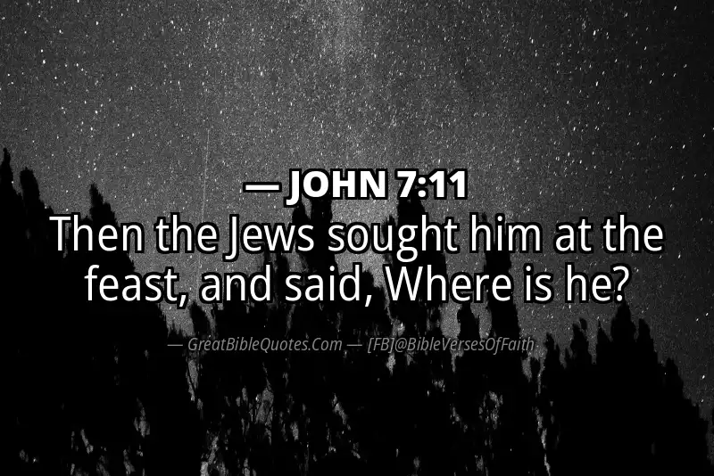 JOHN 7:11 Verse