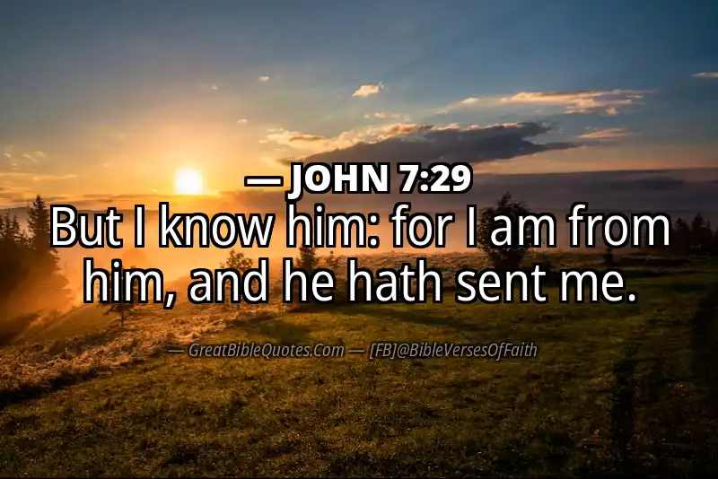 JOHN 7:29 Verse