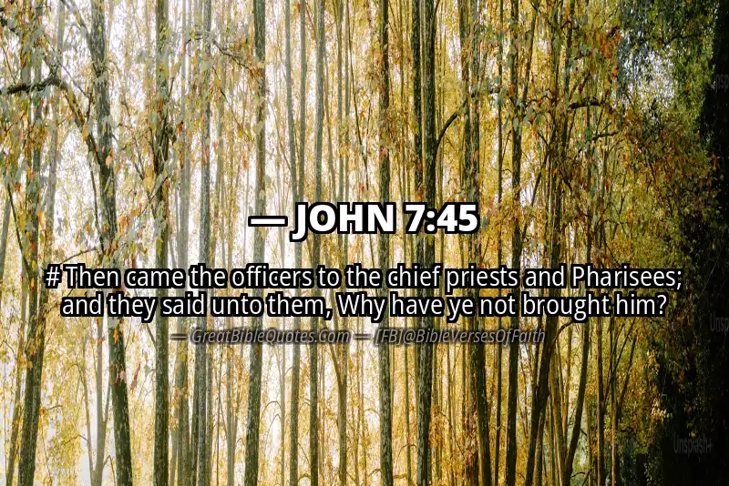 JOHN 7:45 Verse