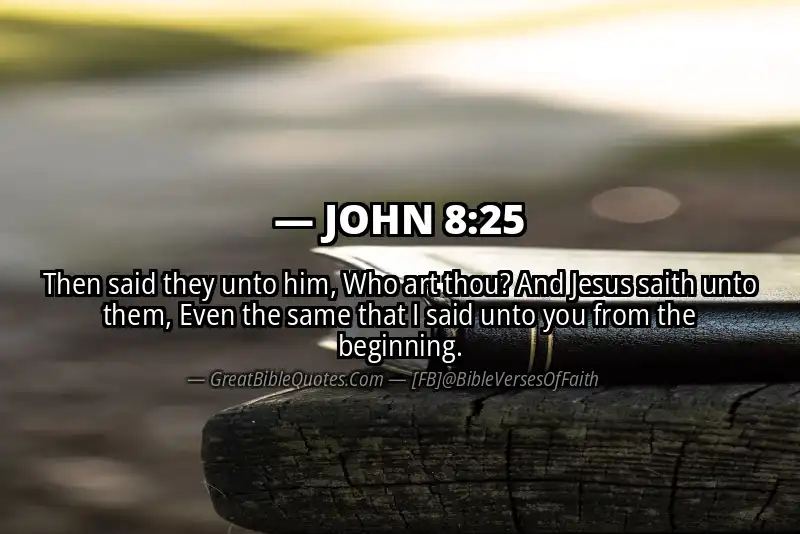 JOHN 8:25 Verse