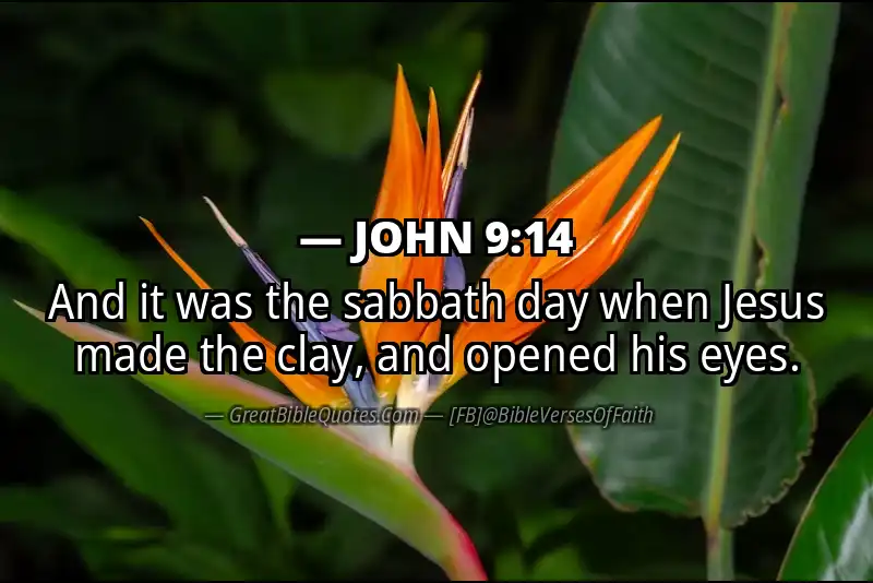 JOHN 9:14 Verse