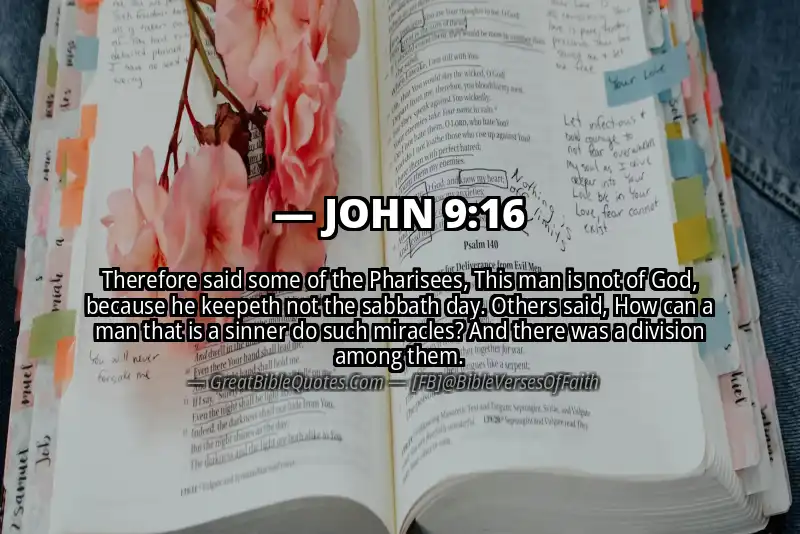 JOHN 9:16 Verse