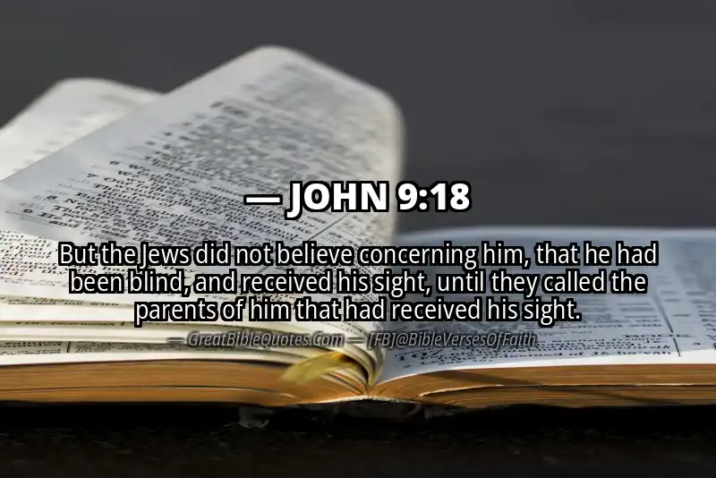 JOHN 9:18 Verse
