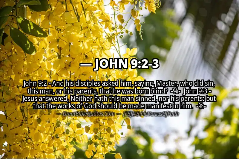 Image for JOHN 9:2-3 Bible verse