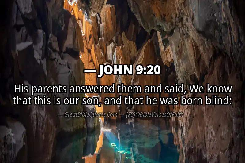 JOHN 9:20 Verse