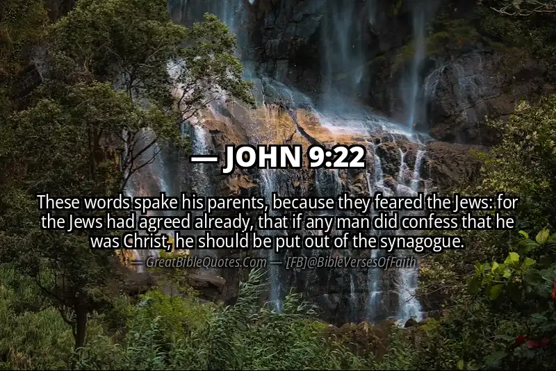 JOHN 9:22 Verse