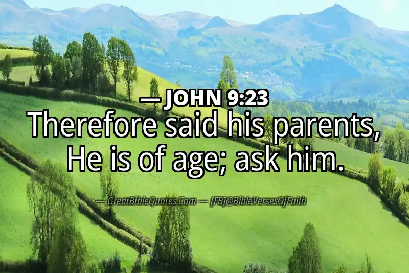 JOHN 9:23 Verse