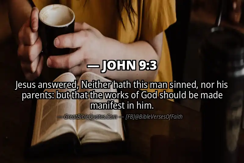 JOHN 9:3 Verse