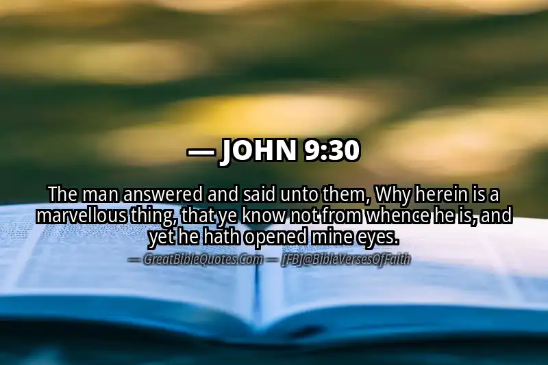 JOHN 9:30 Verse