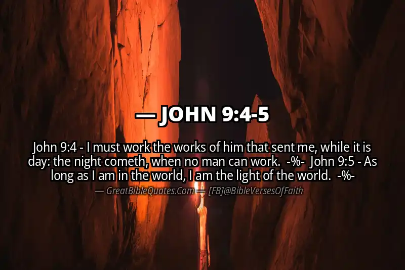 Image for JOHN 9:4-5 Bible verse