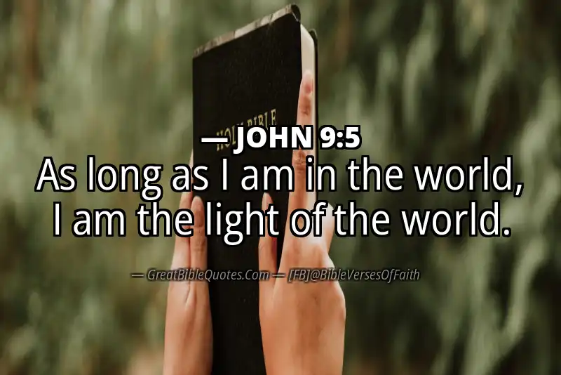 JOHN 9:5 Verse