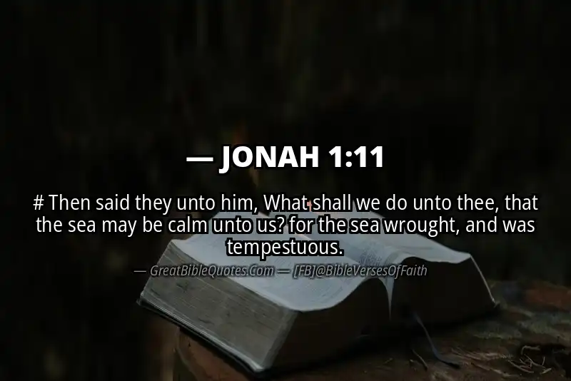 Bible verse: JONAH 1:11 Image