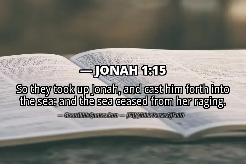 Bible verse: JONAH 1:15 Image