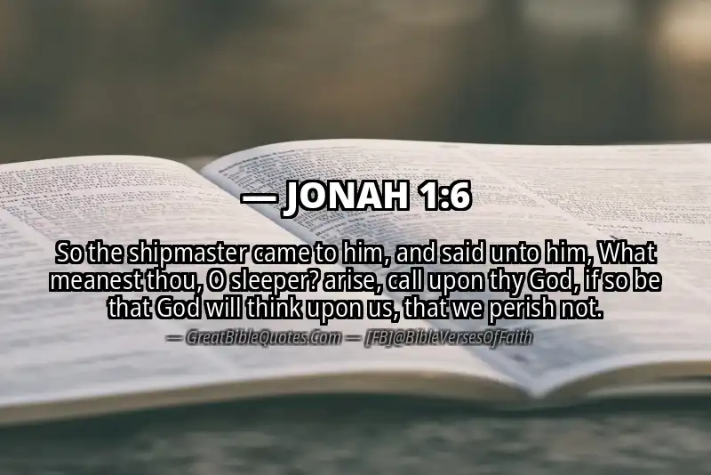 JONAH 1:6 Verse