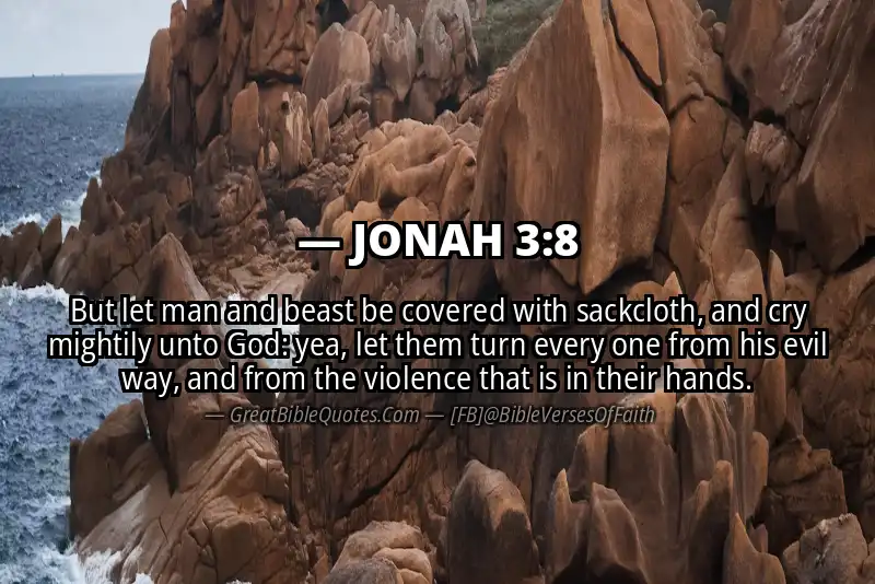 Bible verse: JONAH 3:8 Image