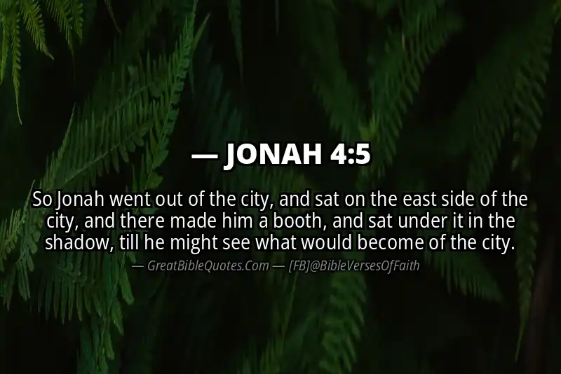 Bible verse: JONAH 4:5 Image