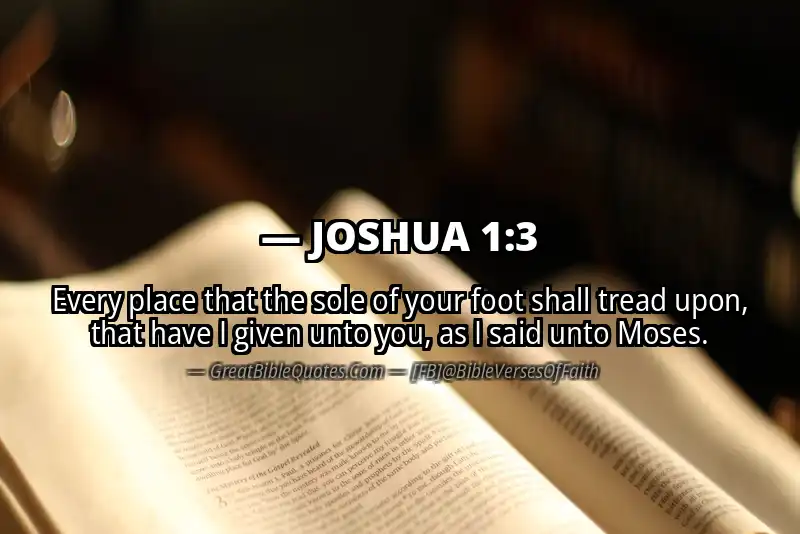Bible verse: JOSHUA 1:3 Image