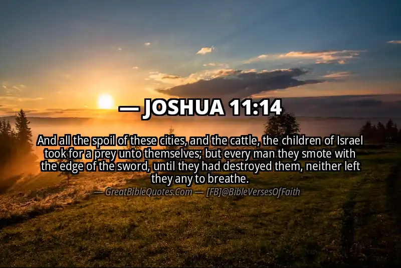 Bible verse: JOSHUA 11:14 Image