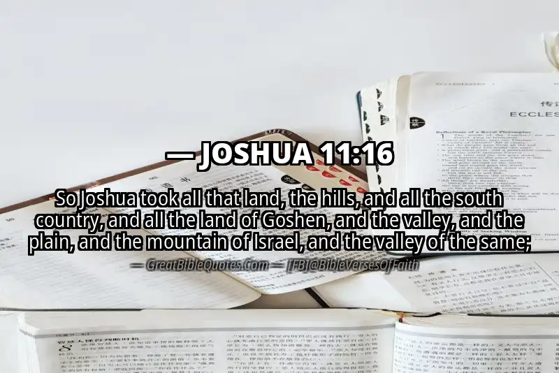 JOSHUA 11:16 Verse