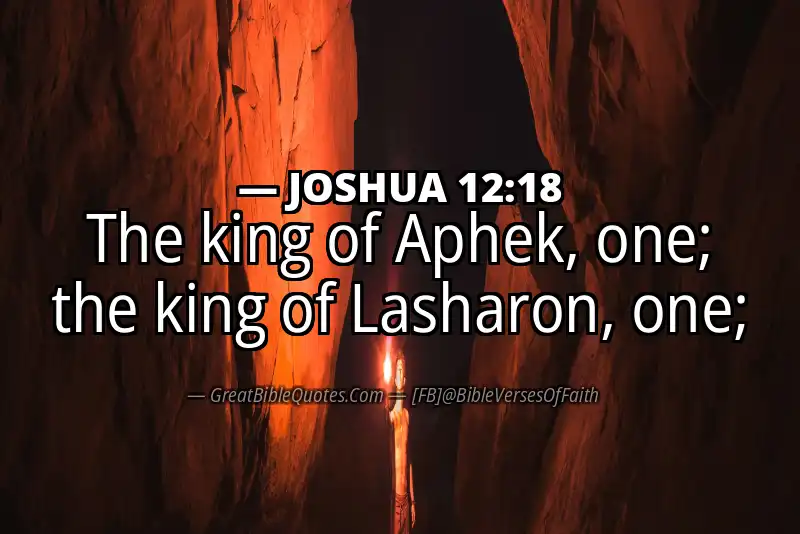 JOSHUA 12:18 Verse