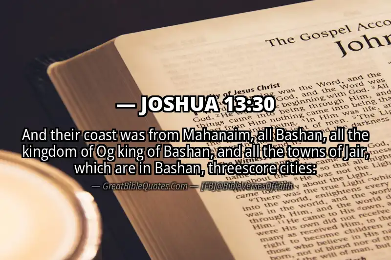 Bible verse: JOSHUA 13:30 Image