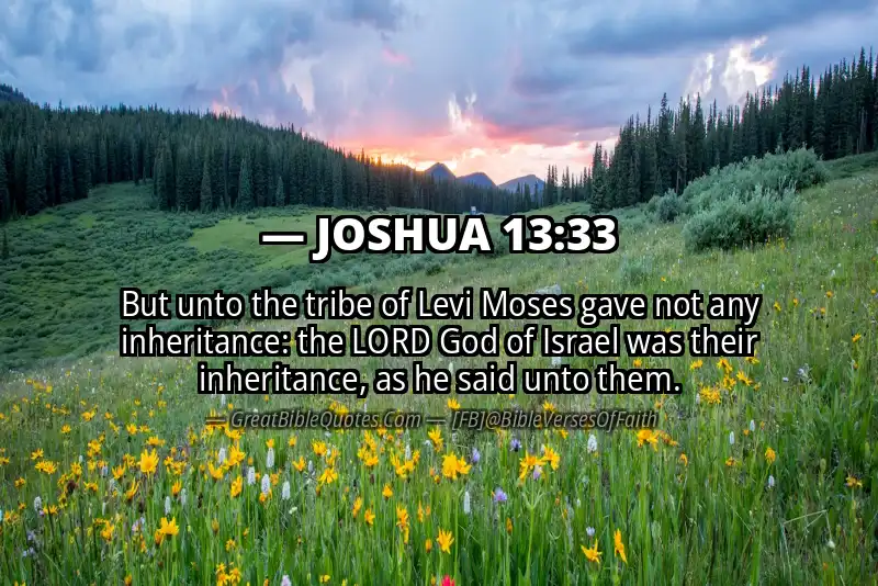 Bible verse: JOSHUA 13:33 Image