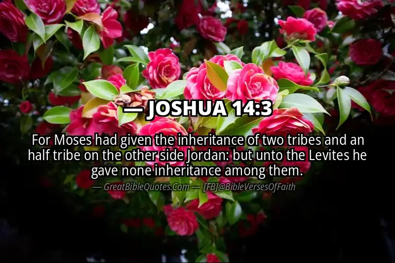 Bible verse: JOSHUA 14:3 Image