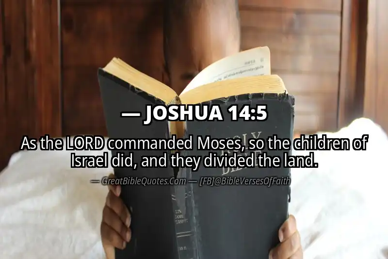 Bible verse: JOSHUA 14:5 Image