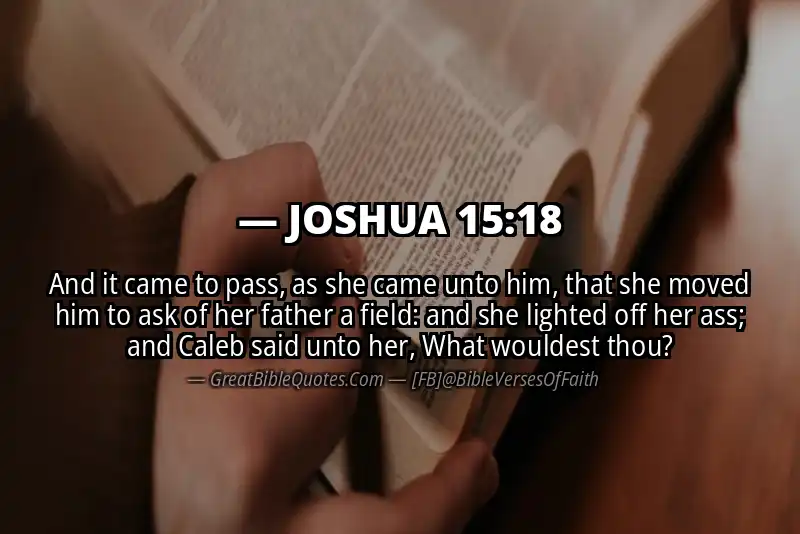 Bible verse: JOSHUA 15:18 Image