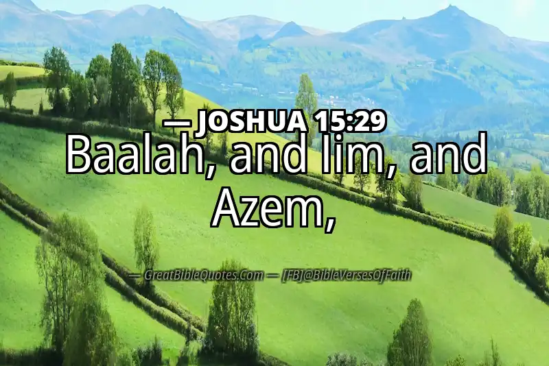Bible verse: JOSHUA 15:29 Image