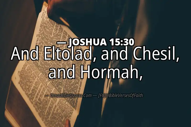 Bible verse: JOSHUA 15:30 Image
